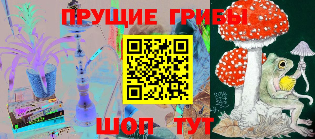 Псилоцибиновые грибы мицелий Кушва